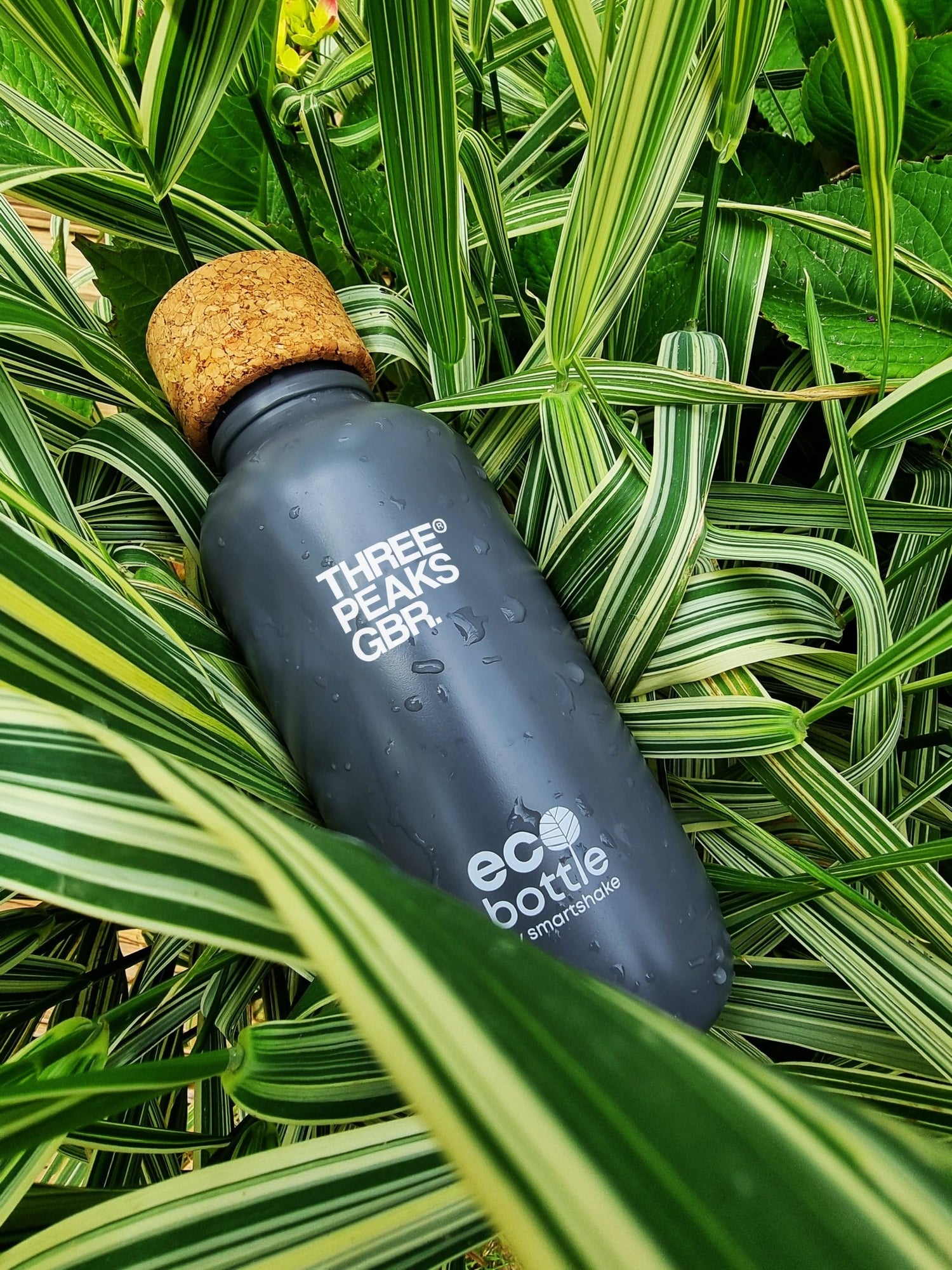 Eco Bottle 650ml - Three Peaks GBR