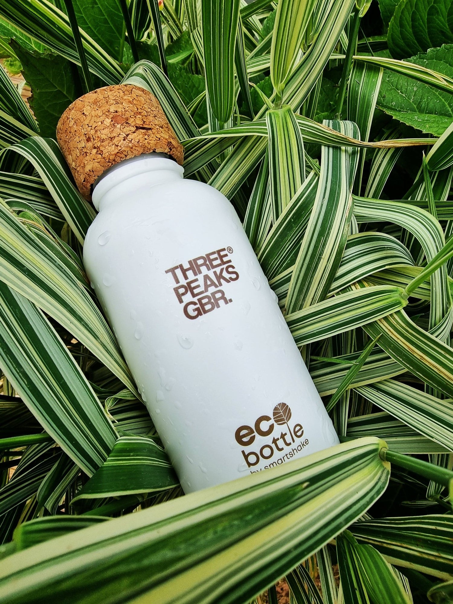 Eco Bottle 650ml - Three Peaks GBR
